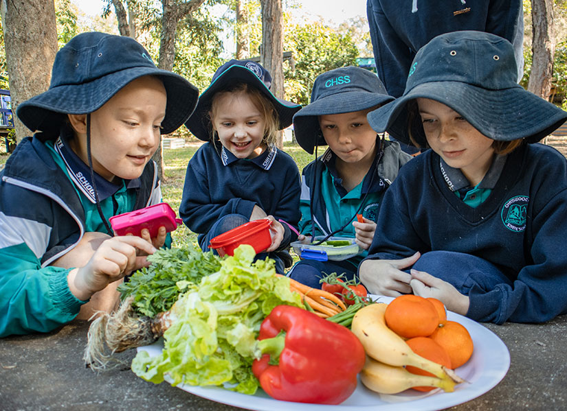 QUT - Dr Robyn Littlewood | Generational wellbeing