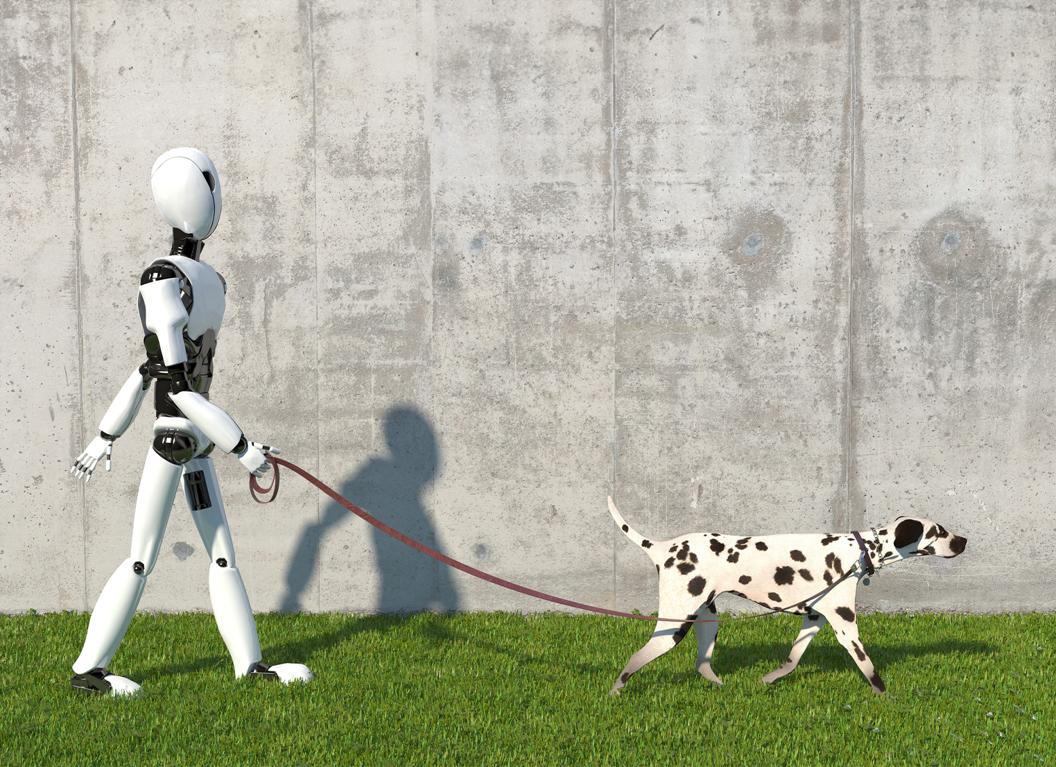 A robot walks a dalmatian dog