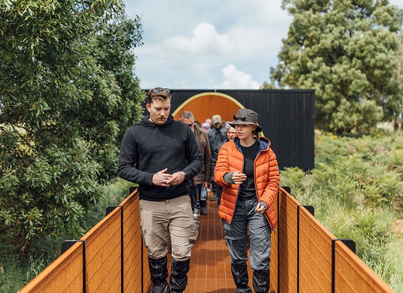 Two people walking along an elevated nature boardwalk at treetop level
