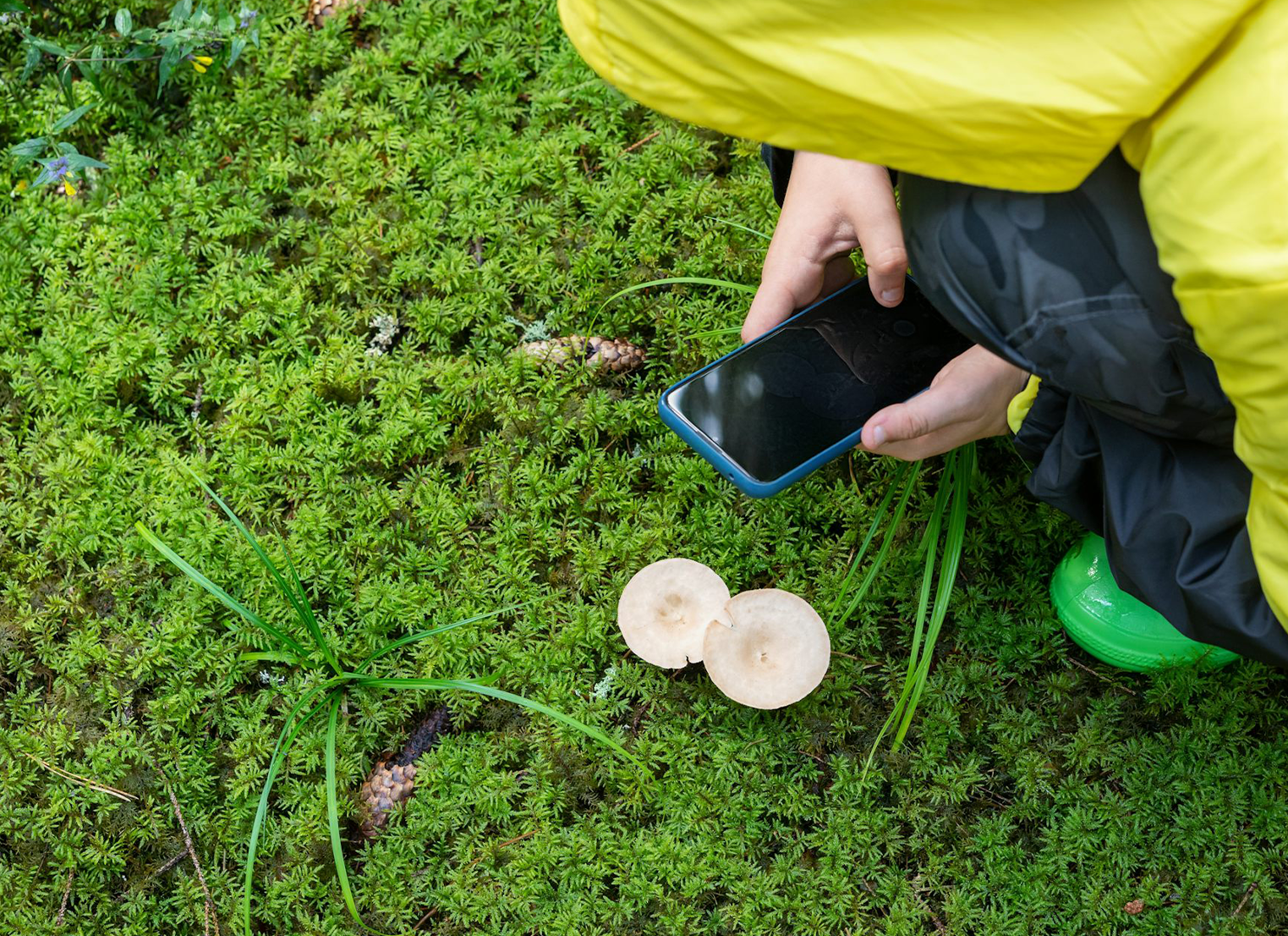 Child crouching down holding a smart phone, taking a photo of a plantng 