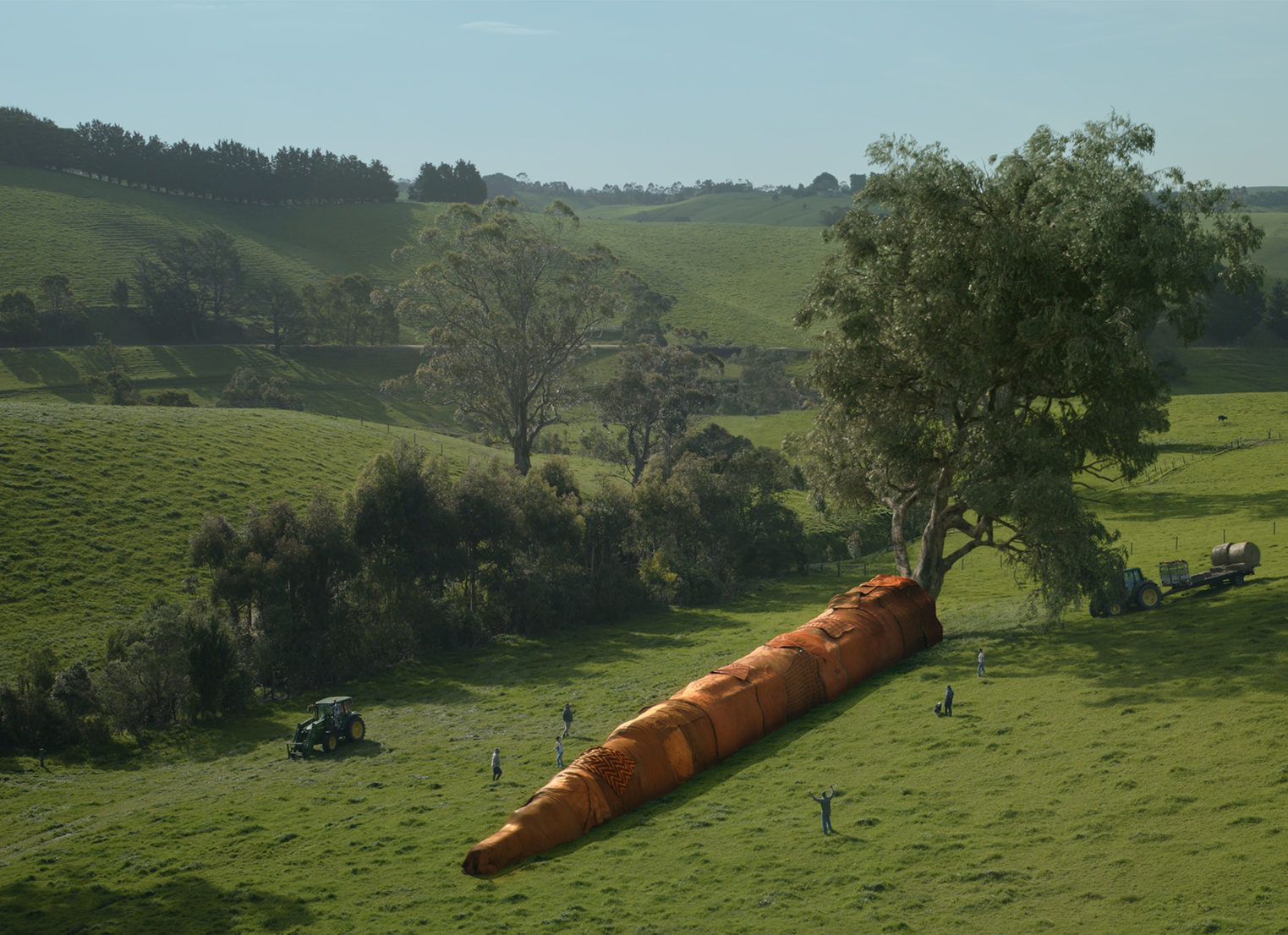 A giant carrot with a tree as a top lies in a green field