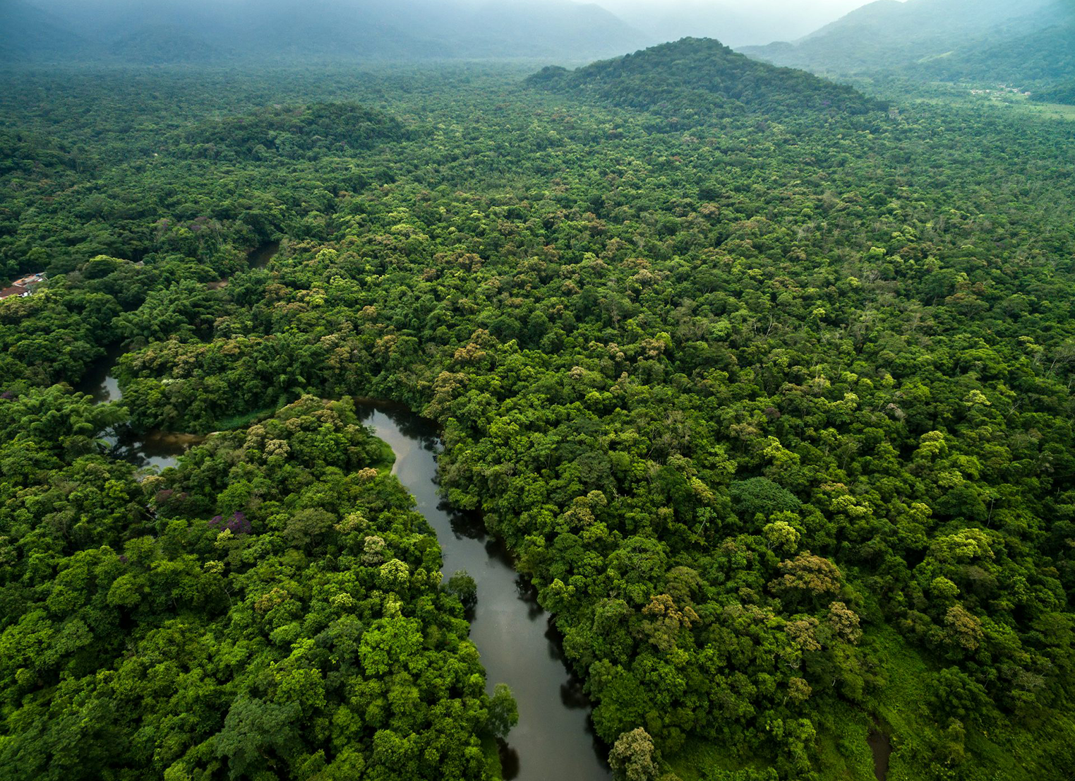 Lush aerial picture of green rainforest with mountains and river