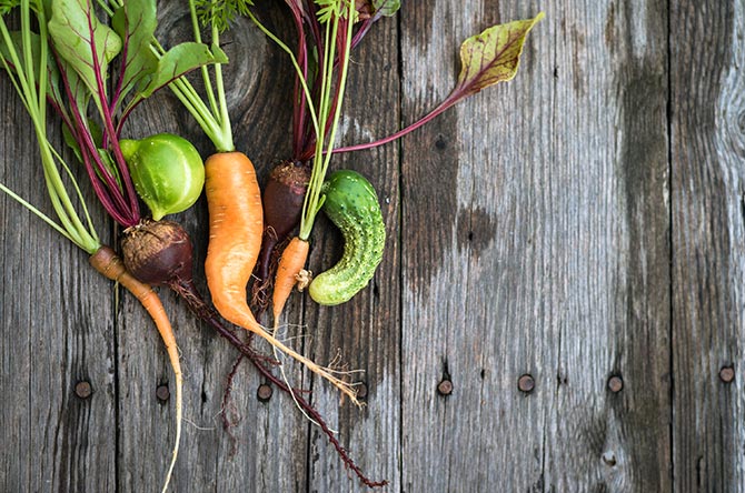 QUT - Powerful supermarkets push the cost of food waste onto suppliers ...